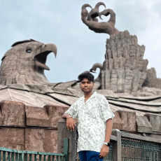 Visvanath A-Freelancer in Thirumalaisamudram,India