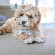 Rejoice Christabel-Freelancer in Gwarinpa,Nigeria