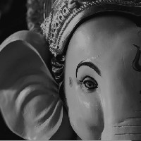 om tripathi-Freelancer in Sagar Division,India