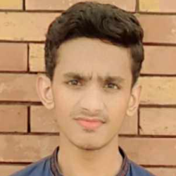 AR Idreesi-Freelancer in Multan,Pakistan