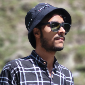 Faisal Ahmad Bhat-Freelancer in Srinagar,India