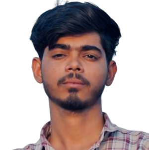 Vikram Raj-Freelancer in New Delhi,India