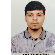Om Tripathi-Freelancer in Tikamgarh,India