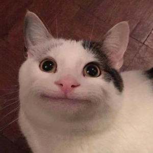 Corceac Beatrice-Freelancer in Bacau,Romanian