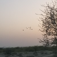 Moosa Baloch-Freelancer in Turbat,Pakistan