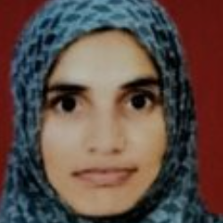 Sajida Begum-Freelancer in Bengaluru,India