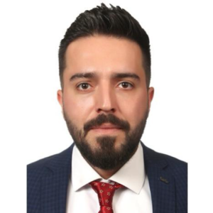 Arjang Seddighzadeh-Freelancer in Moscow,Russian Federation