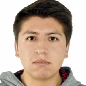 Americo Freddy Mansilla Huaman-Freelancer in Cusco,Peru