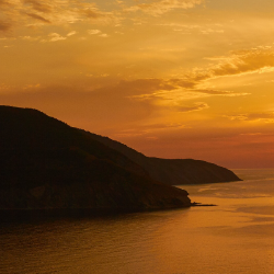 TestT-Freelancer in NA,India