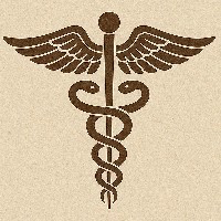 Parul-Freelancer in Greater Noida,India