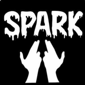 Spark workana-Freelancer in Sialkot,Pakistan