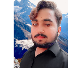 M Saleem-Freelancer in Gubba,Pakistan