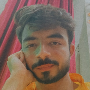 Harshit-Freelancer in Roorkee,India