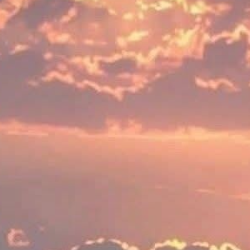 Fkights-Freelancer in Narwāna,India