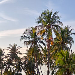 Tina Chauhan-Freelancer in Hyderabad,India