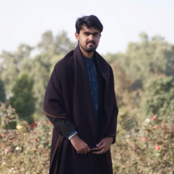 Muhammad Saad Satti-Freelancer in Rawalpindi,Pakistan