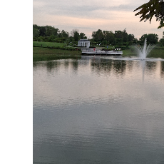 Marcus Lee Yang-Freelancer in Semenyih,Malaysia