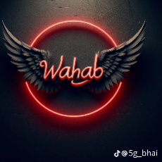 Wahab Ali-Freelancer in Lahore,Pakistan