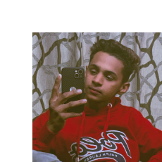 Devloper Chauhan-Freelancer in Sri Ganganagar,India