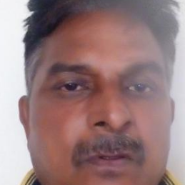 Vinod Singh-Freelancer in Rajgarh,India