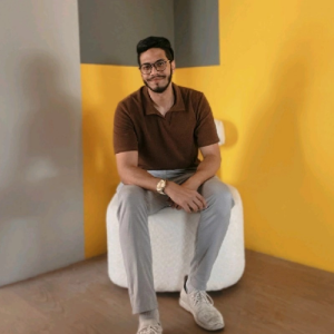 Shehab Eldien Saied-Freelancer in Cairo,Egypt