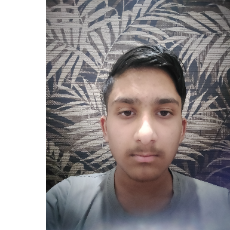 Adit Goel-Freelancer in Chandigarh,India