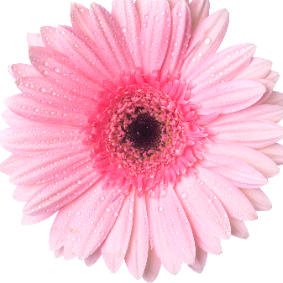 Grace Bessie-Freelancer in Ikeja,Nigeria