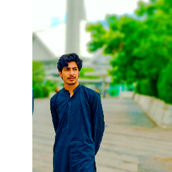 Asim Raza-Freelancer in Islamabad,Pakistan