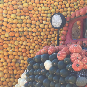 Thomas Lorenz-Freelancer in Waiblingen,Germany