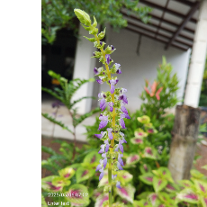 Creative Designer-Freelancer in Colombo,Sri Lanka