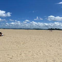 Tj-Freelancer in Bronx,USA