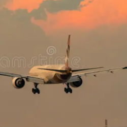 Flighta-Freelancer in Delhi,India