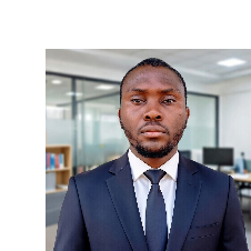 BigAbdul Writing Solutions-Freelancer in Minna Niger state  Nigeria,Nigeria