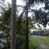 Amna Mirza-Freelancer in Sahiwal District,Pakistan