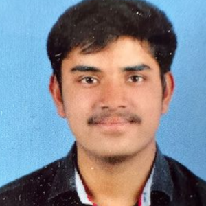 Prithvi Rajput-Freelancer in Kharar,India