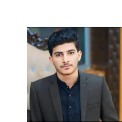 Sultan Sahi-Freelancer in Sialkot,Pakistan