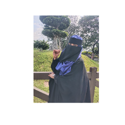 Anjum Na-Freelancer in Hyderabad,India