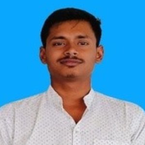 Prashant Kumar-Freelancer in Sondho Ratti,India