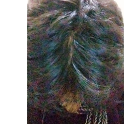 Shaksham Negi-Freelancer in Dehradun,India