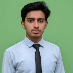 Ali Hassan-Freelancer in Sargodha,Pakistan