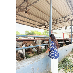 Bhumi Sharda-Freelancer in Nimbahera,India