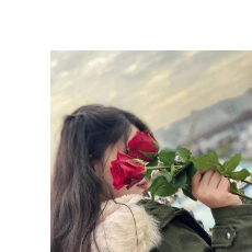 Arshia Hayat-Freelancer in Bharth,Pakistan