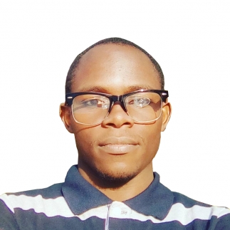 Patrick Nzambu-Freelancer in Nairobi,Kenya