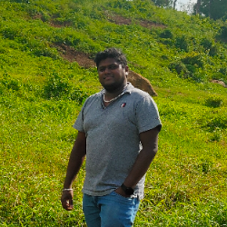 Joshua Nicholas-Freelancer in Salem,India