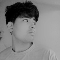 Sumit Upadhyay-Freelancer in Faridabad Division,India