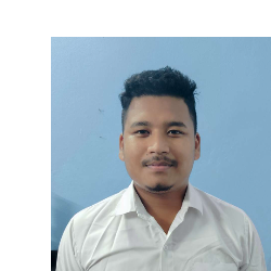 Shanuj Hazarika-Freelancer in Kandulibari Grant 4 No.F.S.16,India