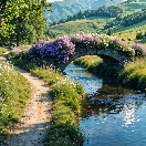 Chariff-Freelancer in Oujda,Morocco