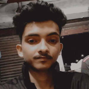 Sanmay Sarkar-Freelancer in Madhupur,India