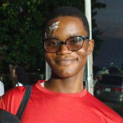 David-Freelancer in Ile-Ife,Nigeria