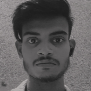 Raj Kumar-Freelancer in ,India